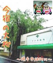 商店街にそびえ立つ、縁結びのヤナギの木。樹齢は約300年！