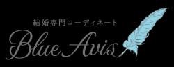 ケッコンソウダンジョ　ブルーエイビス